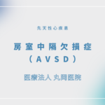 房室中隔欠損症（AVSD）／心内膜床欠損症（ECD) – 循環器の疾患