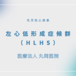 左心低形成症候群（HLHS） – 循環器の疾患