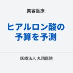 ヒアルロン酸注射の予算を予測！ – 品質を犠牲にせずに美を手に入れる