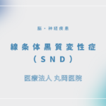 線条体黒質変性症（SND） – 脳・神経疾患