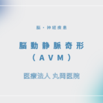 脳動静脈奇形（AVM） – 脳・神経疾患