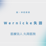 Wernicke失語 – 脳・神経疾患